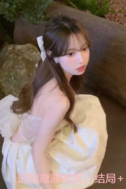 迟知鸢薄时沉