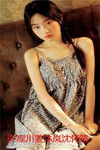 许凛川姜沐岚沈怀笙