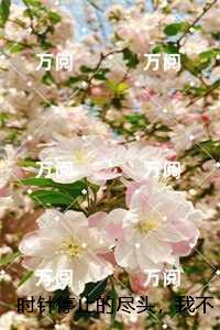 何淼淼郑林凯