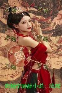 向婉宁顾辞