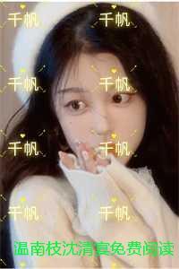 温南枝沈清宴