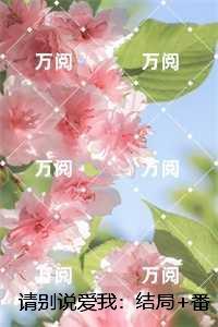 宋微夏薄以宸