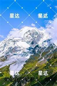 乔若兮沈辞安