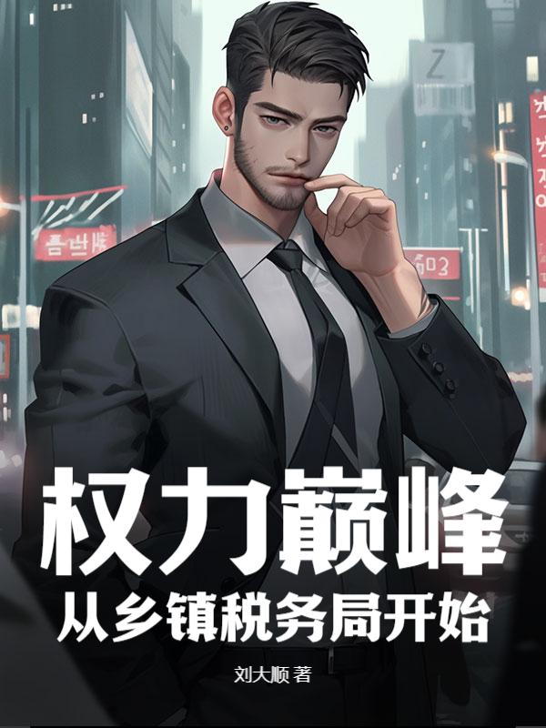 权力巅峰：从乡镇税务局开始