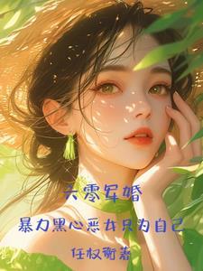 搬空全家资本家小姐为国开战斗机