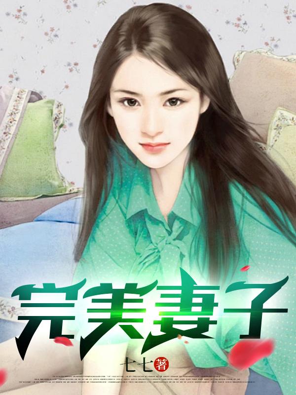 完美妻子