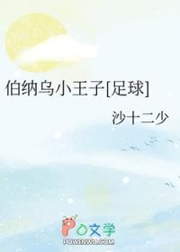 [足球同人] 伯纳乌小王子